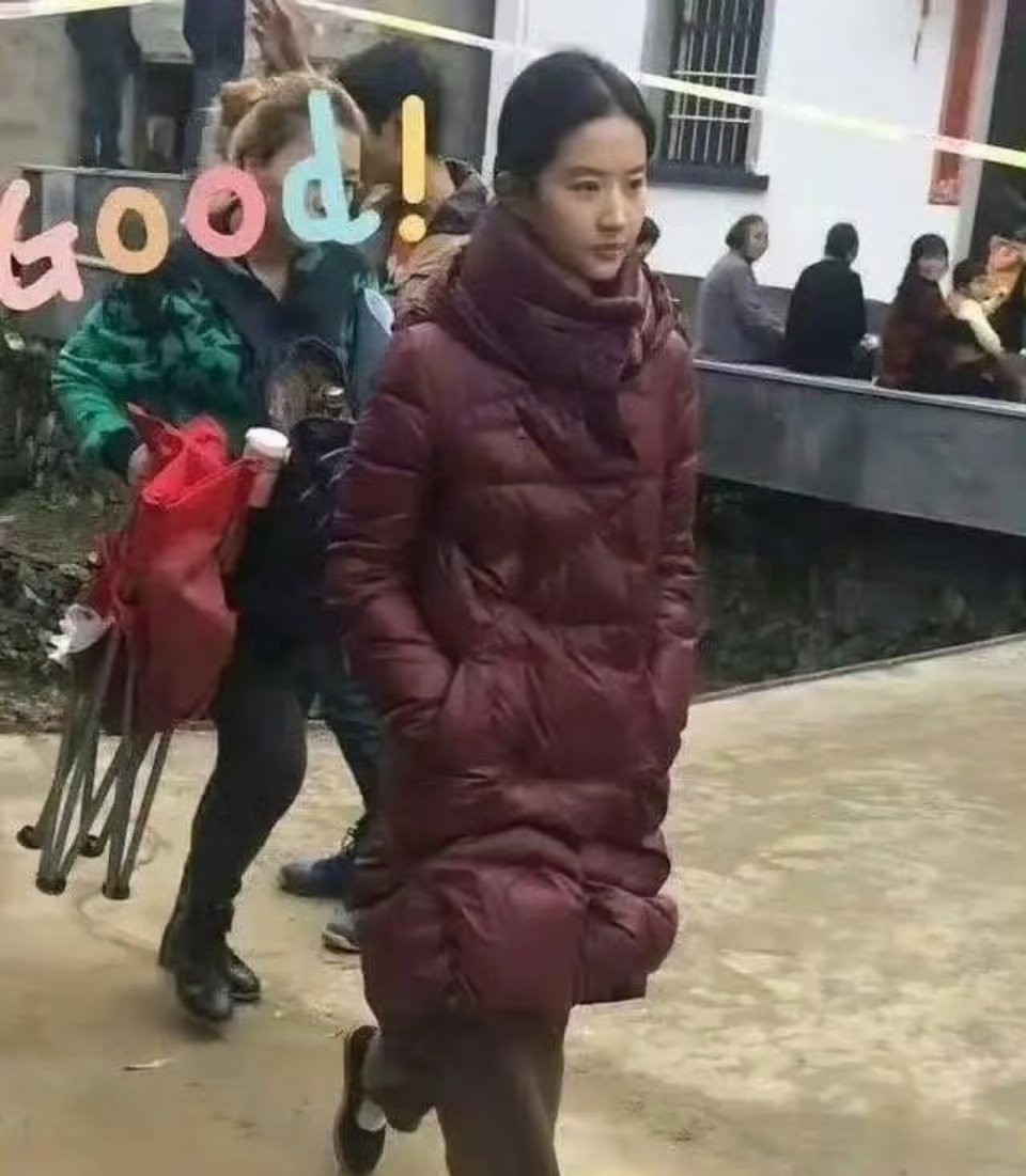 网友：刘亦菲是真的演不了农村人  
