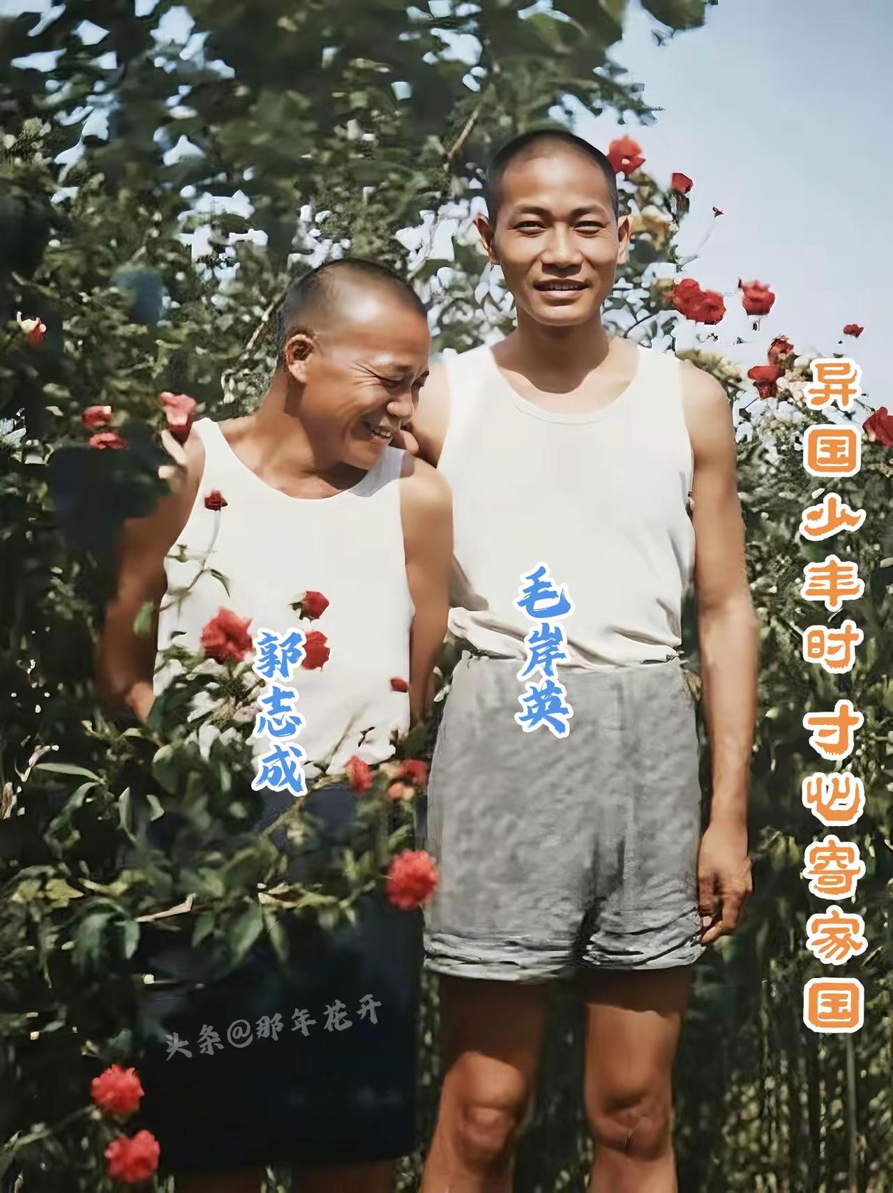 这张老照片拍摄于1939年，毛主席的长子毛岸英与烈士郭亮之子郭志成，在苏联伊万诺