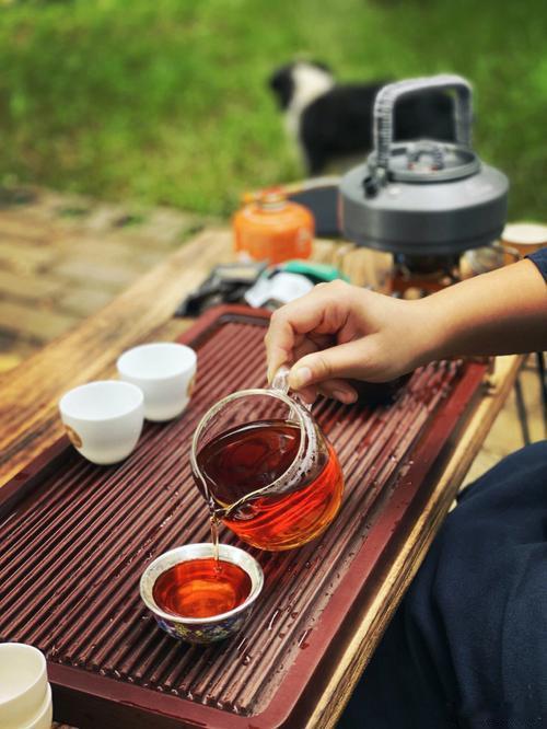 一纸闲词，安放千古心事清夜无尘，月色如银。酒斟时、须满十分。浮名浮利，虚苦劳神。