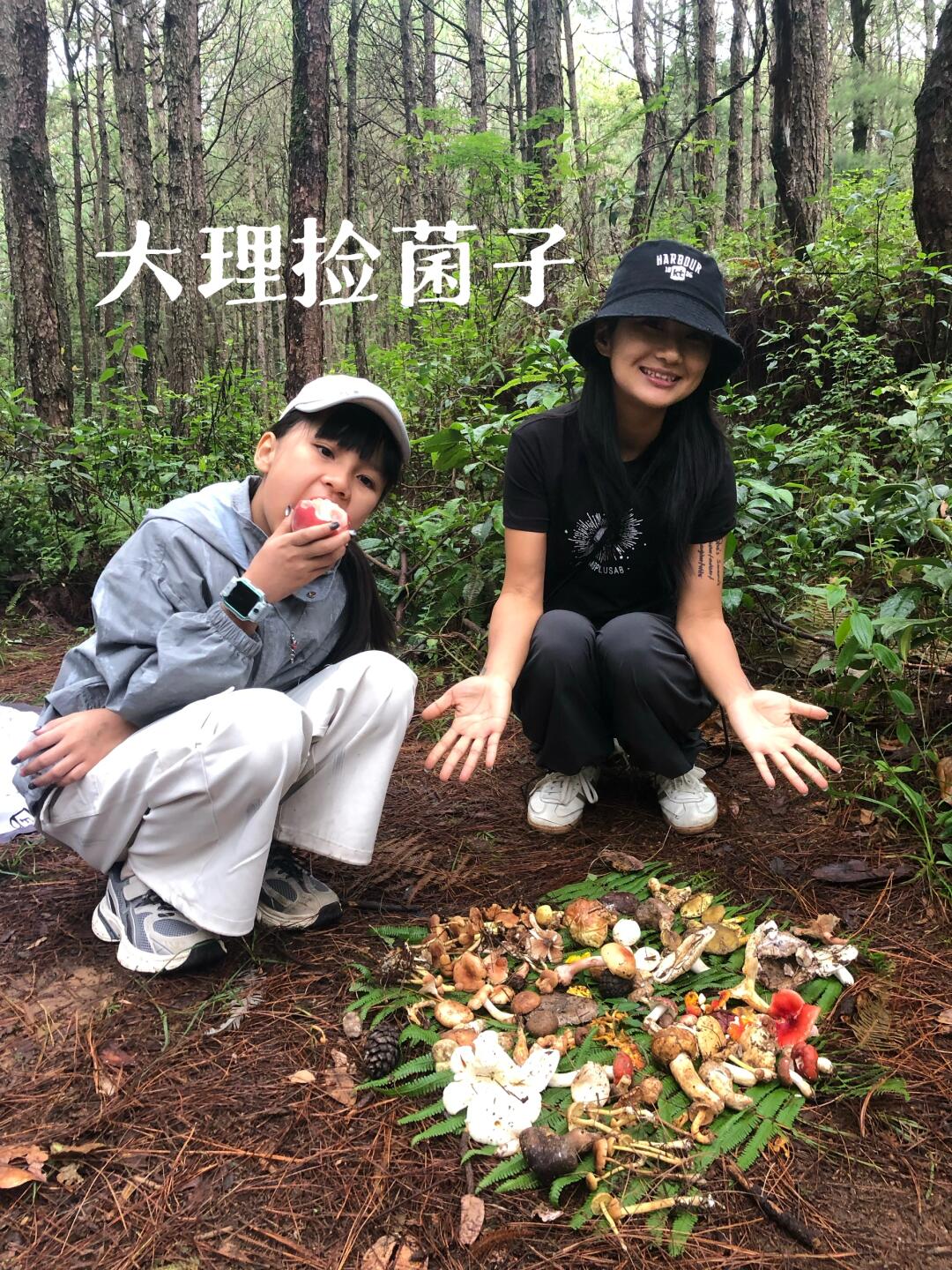 大理亲子捡菌子 | 每天都有，一起上山