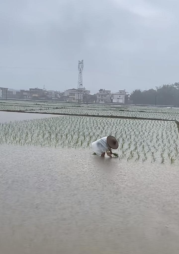 这一幕。孩子们都看一下。
