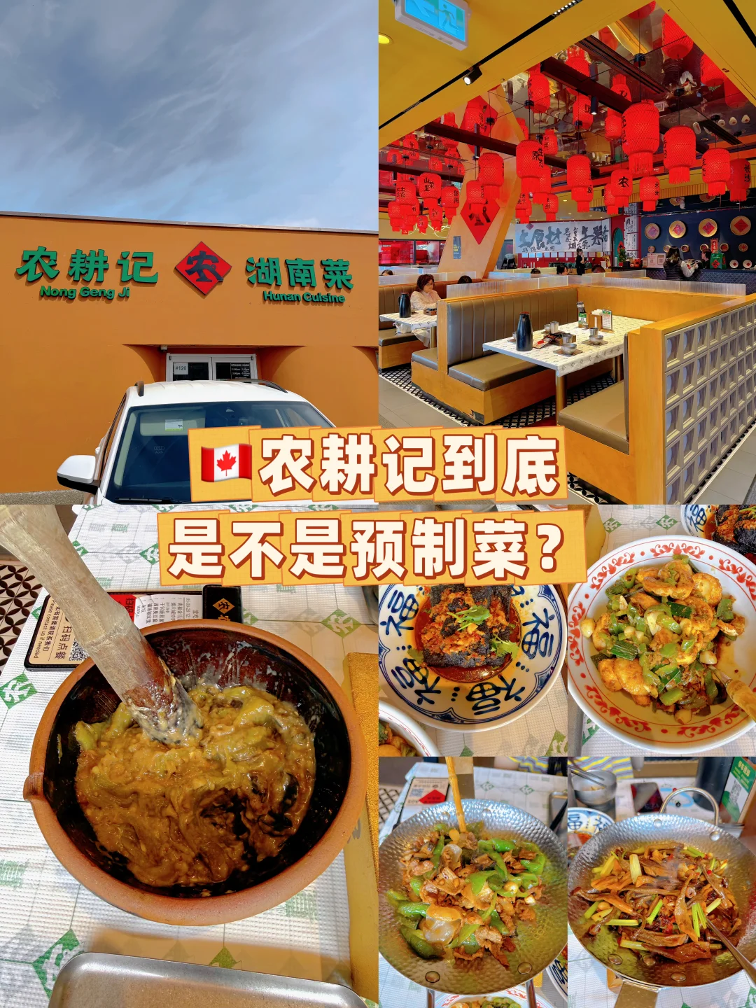 🇨🇦农耕记好不好吃？湖南人来说说？