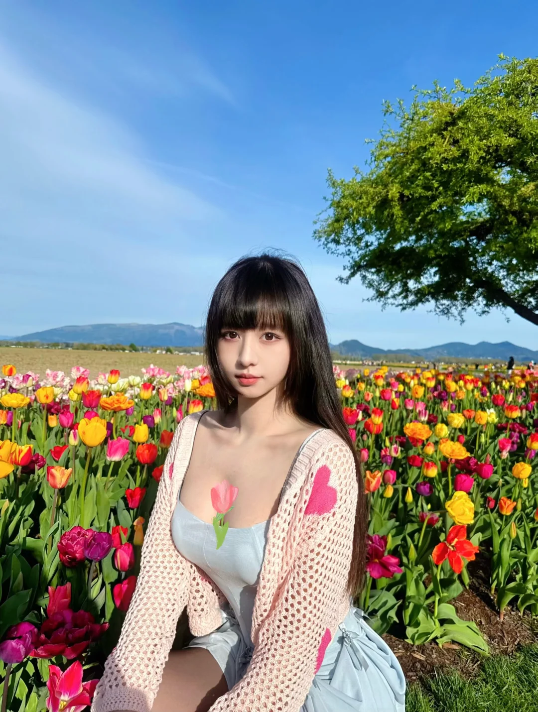 🌷跟着春天走进郁金香花海｜西雅图花季❤️
