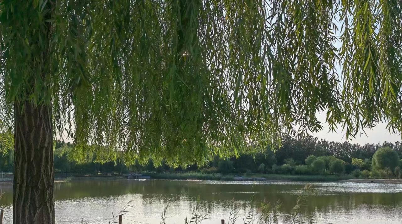 春日生活打卡季感受生活