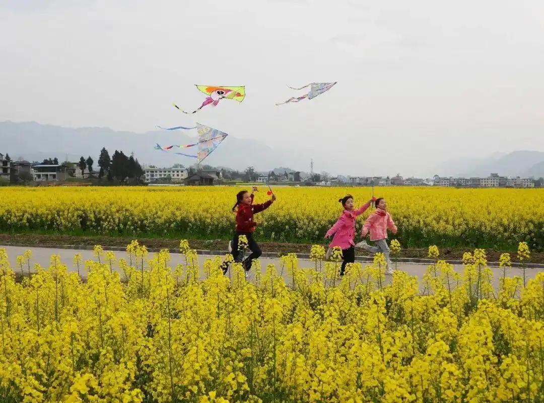 孩子们需要春天，大人也一样！
今年政府工作报告提出，支持有条件的地区推行中小学春