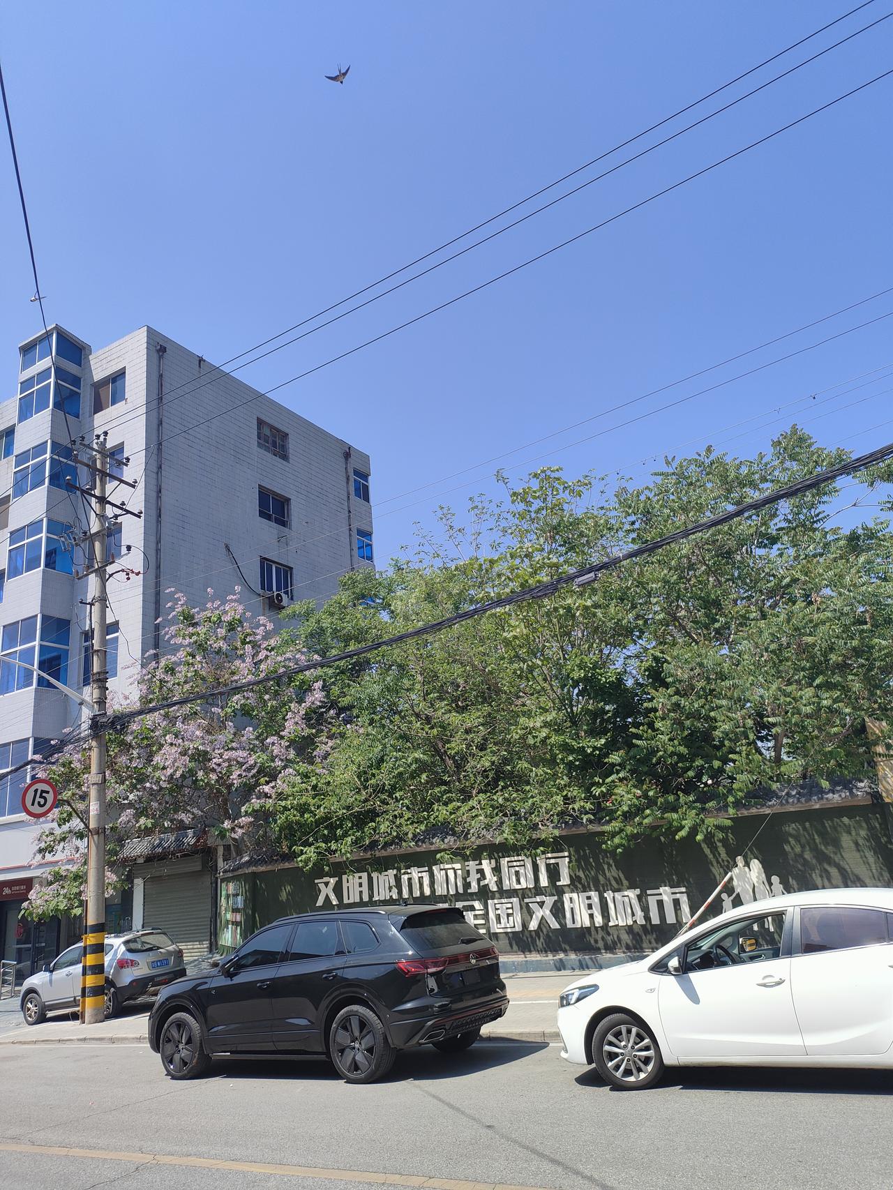 市井烟火寻常街巷，日子清透温柔，万事皆安无恙✨