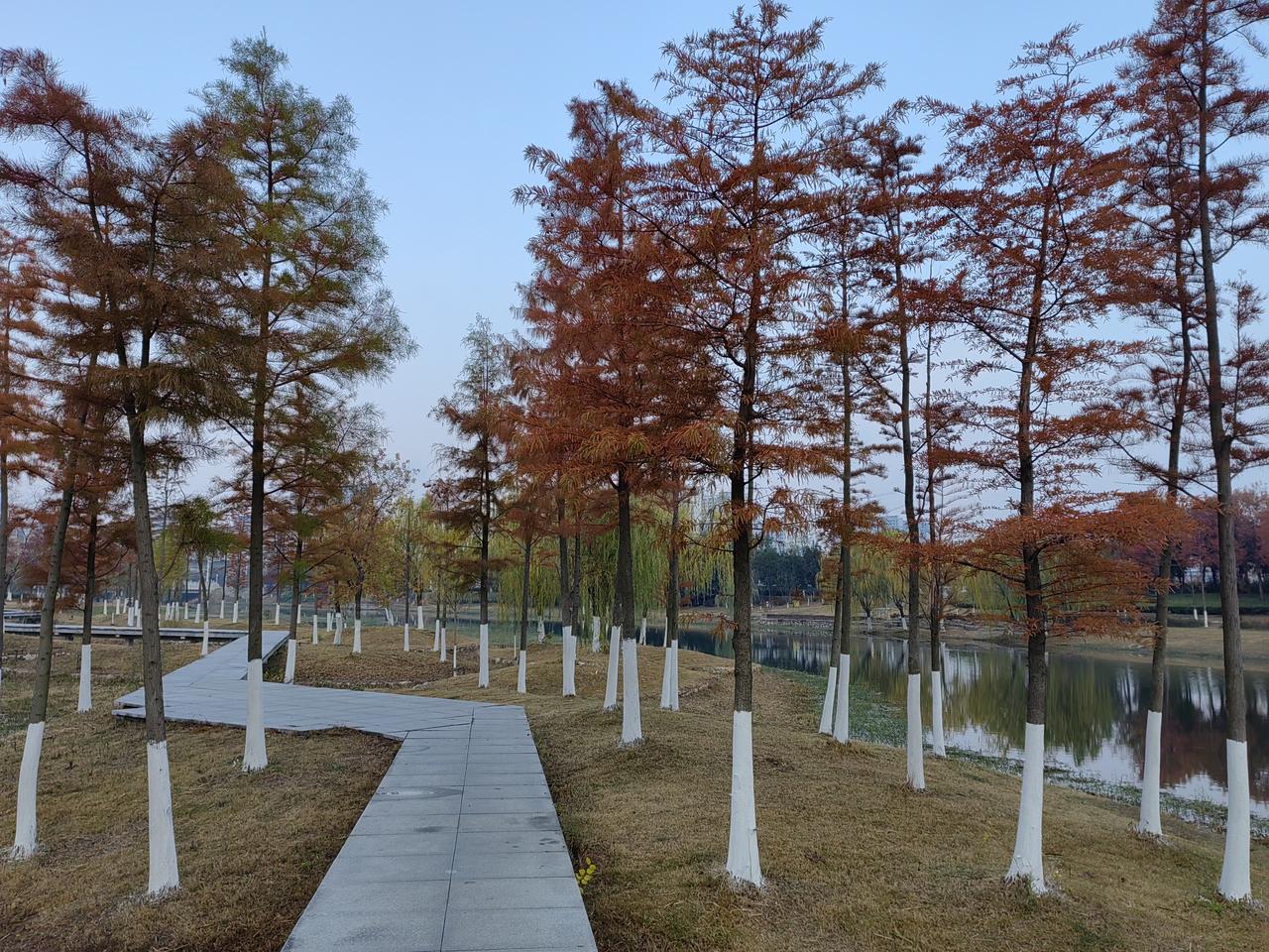 分享一张自然风景的照片