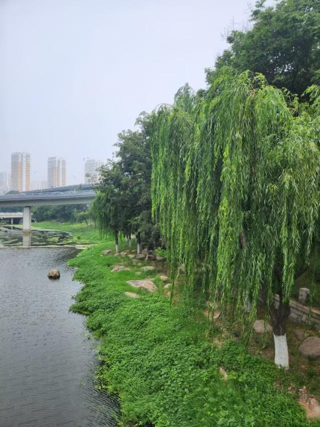 夏天河边或海边的风的确很凉爽又舒服[赞]
微头条《原创》
友友说：“宝鸡市这几天