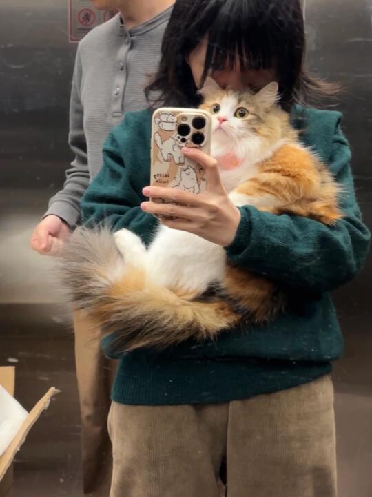 女儿太漂亮了怎么办
