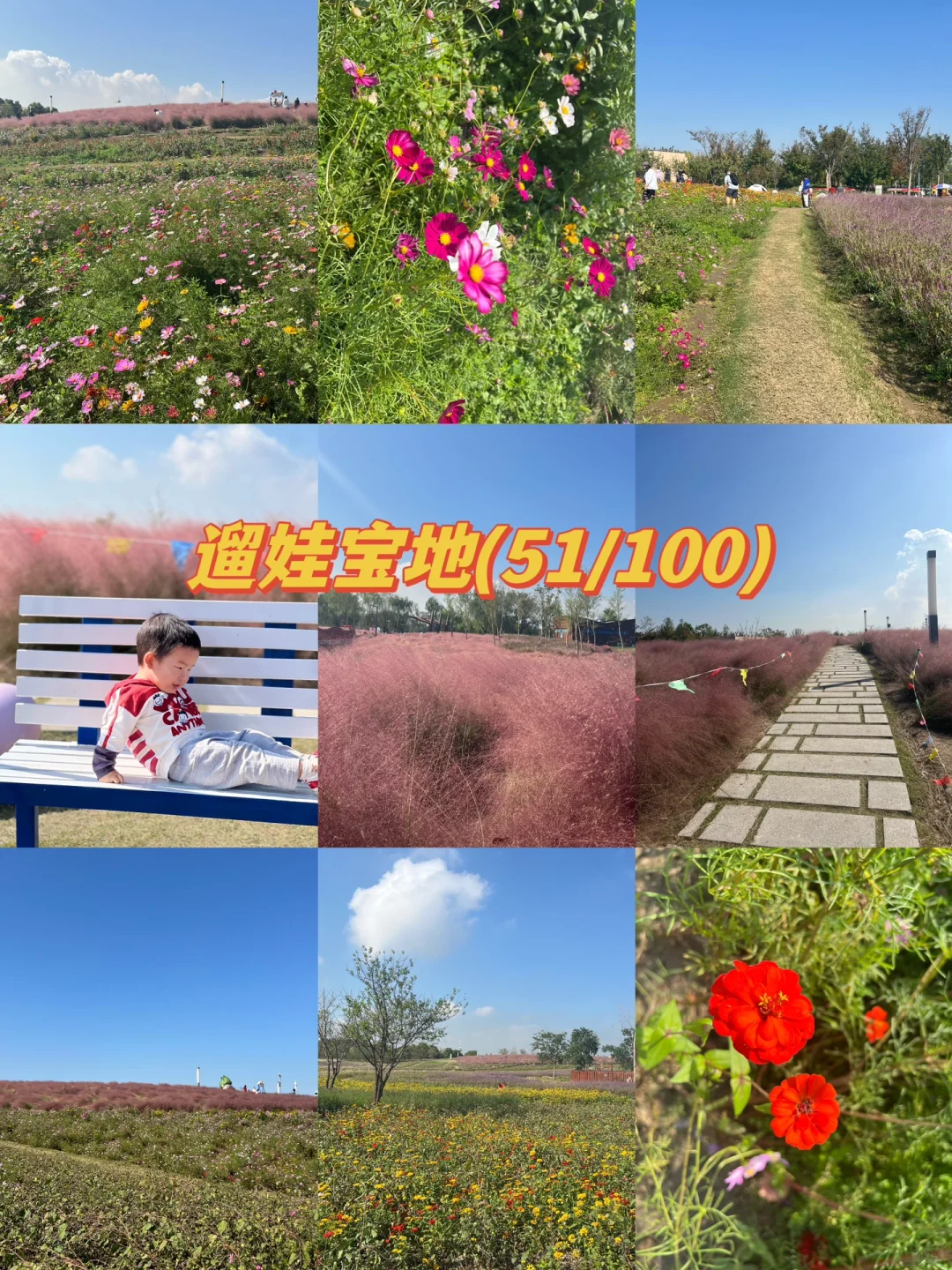 上海遛娃好去处！误入莫奈花园，粉黛美如画