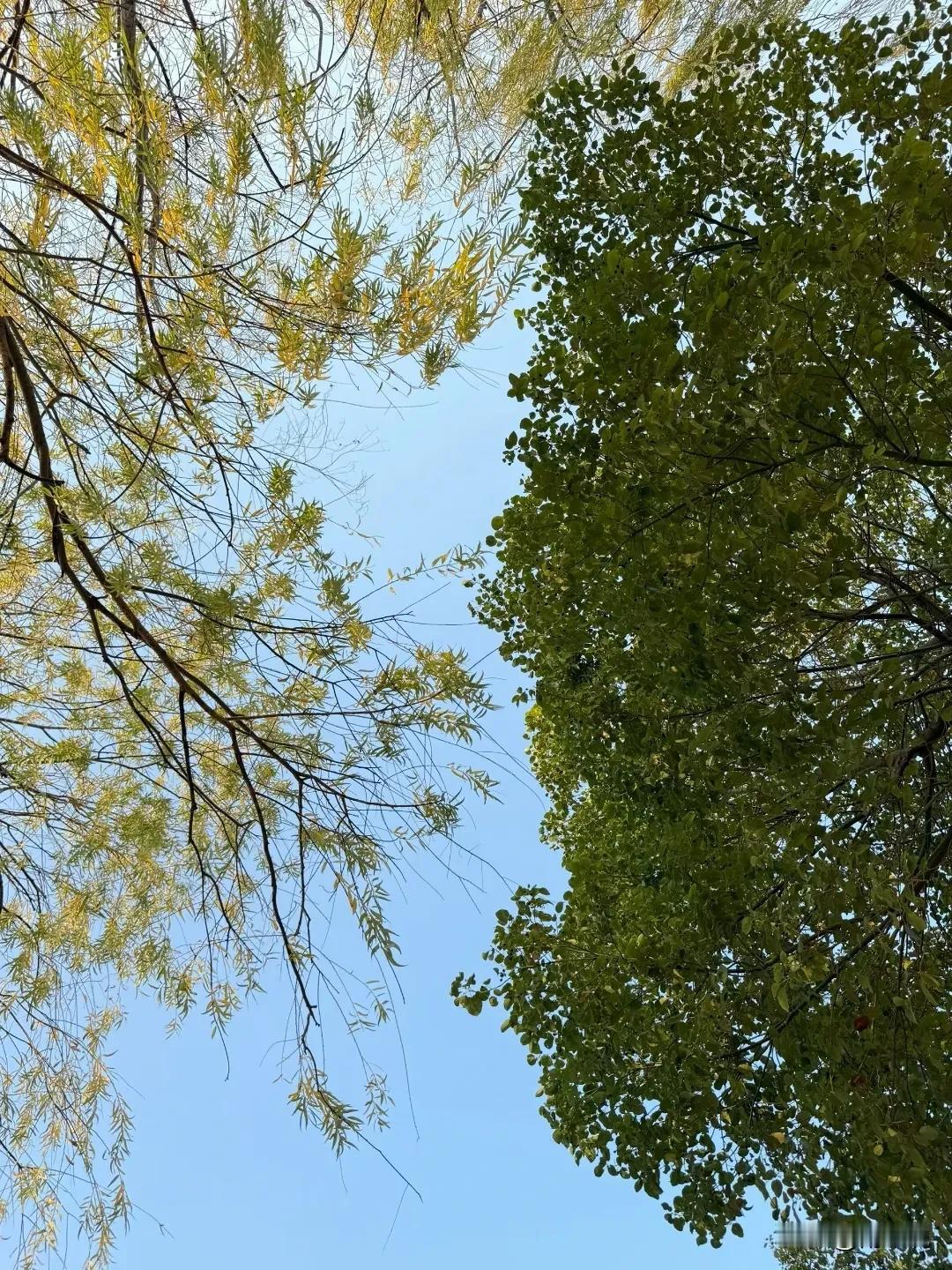 再学个小技能，比如拍拍照或整个简单剪辑，闲了去趟一直想去的小城。最后远离糟心事和