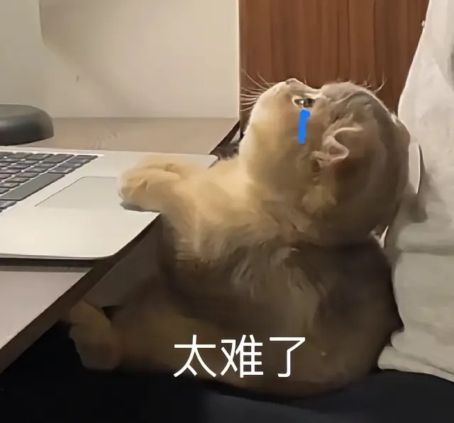 高考数学唯一满分韦神当年多少分啊？ 