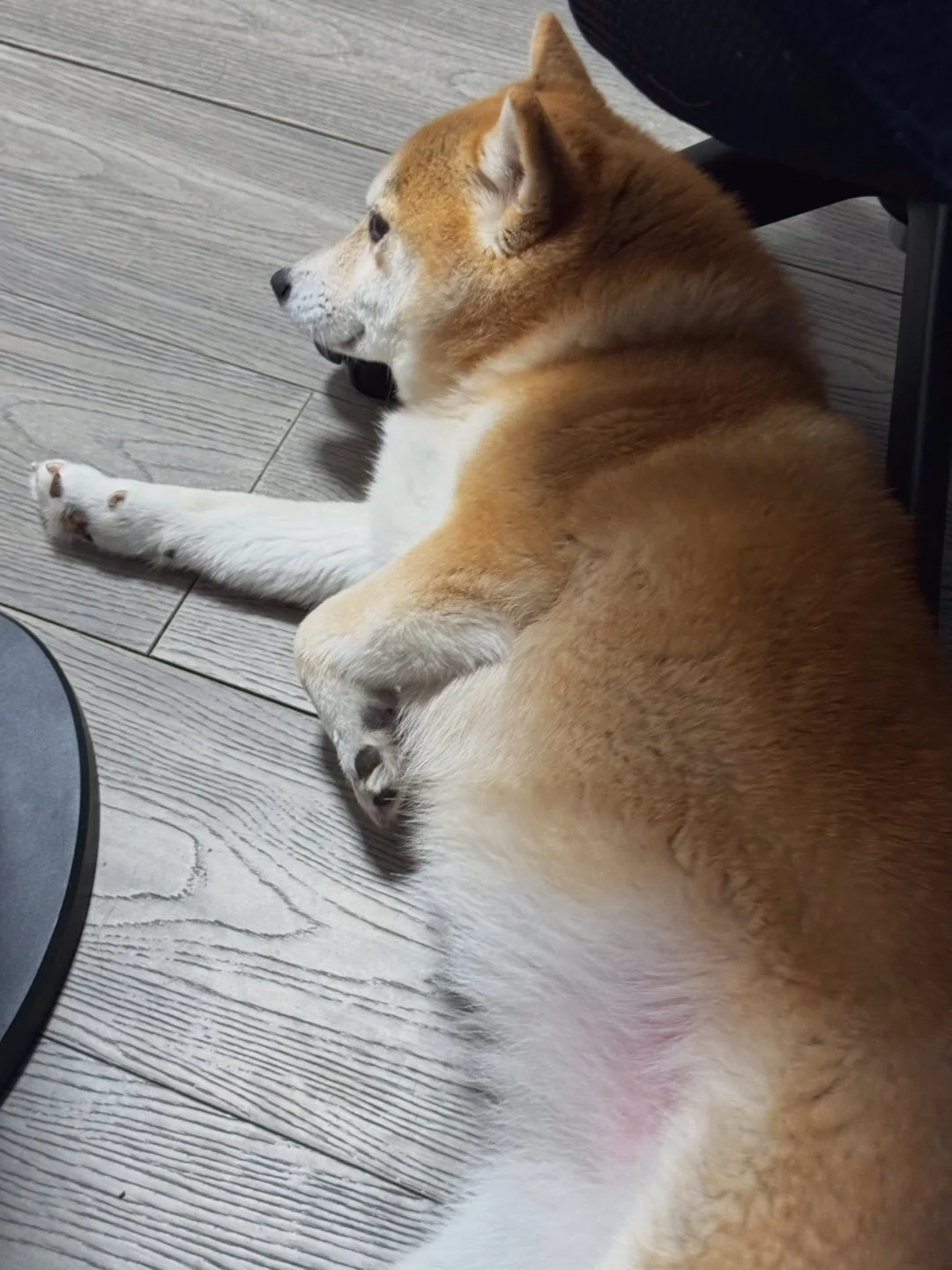 你动一下试试呢？