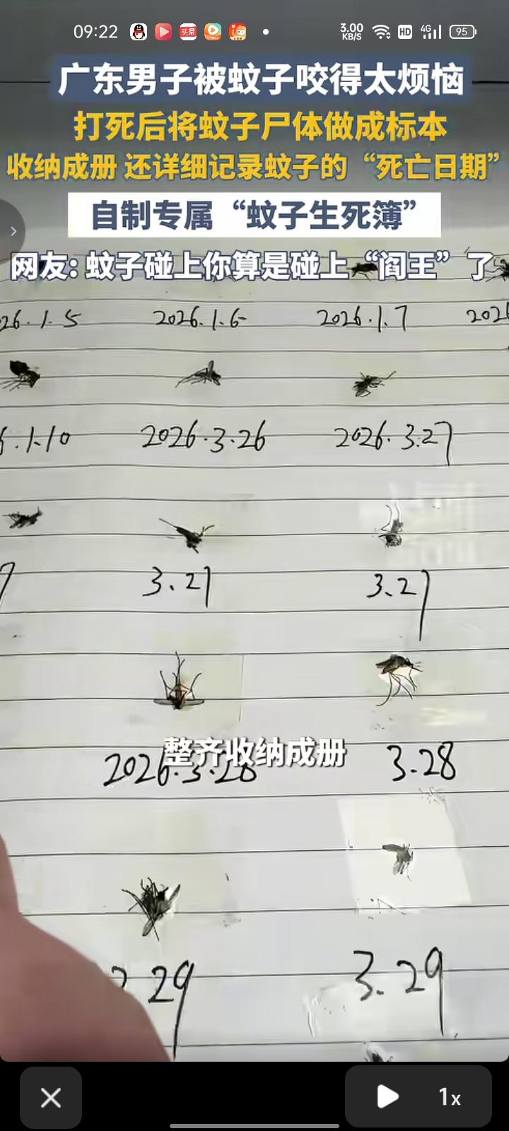 5月24日，广东深圳。男子被蚊子咬的太烦恼，到处都是蚊子咬的疙瘩，随后开启硬核“