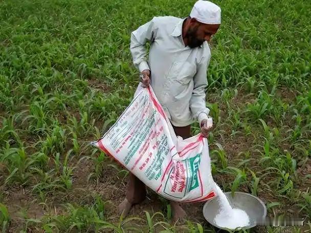 印度又开始搞笑了。

作为全球第一大尿素进口国，印度在2026年春耕时节陷入了进