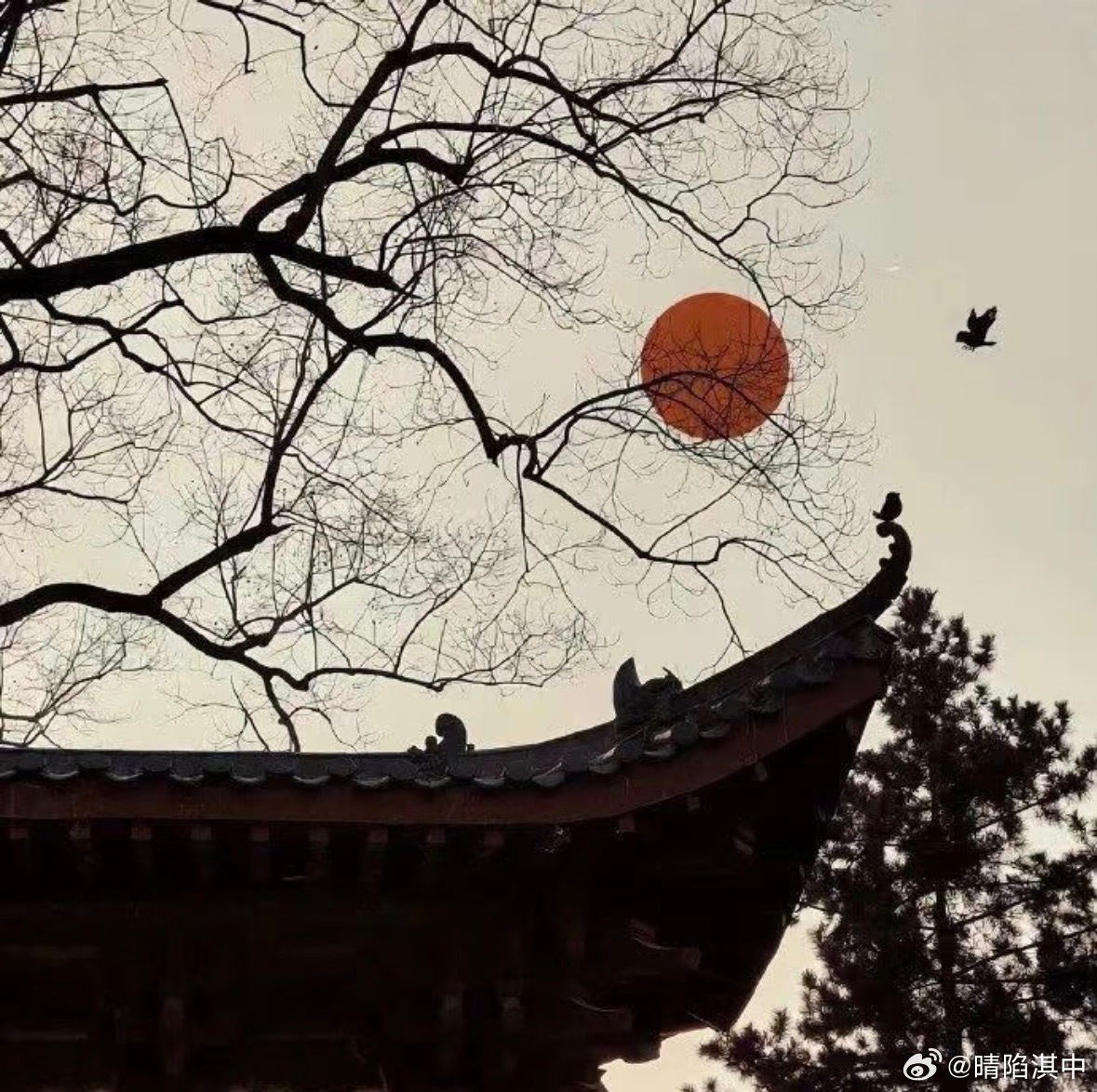 阳光从树叶的空隙中爬进阳台ও ᴍᴏʀɴɪɴɢ〰ﻬ°