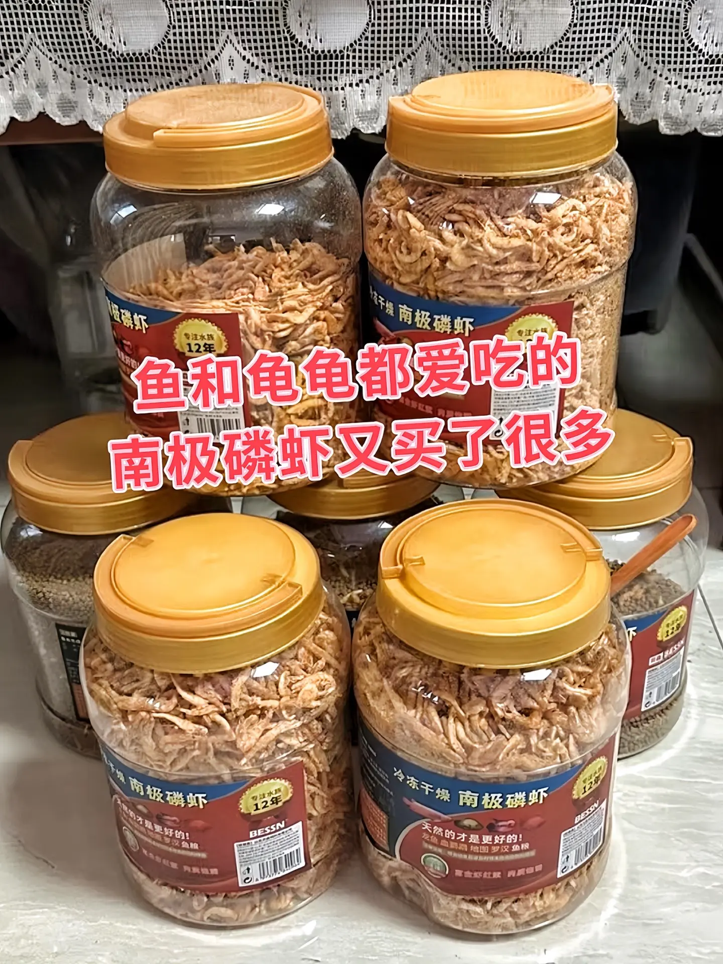营养爆表！鱼缸里的“黄金口粮”  想要家里的鱼儿活力满满、色彩艳丽？南...