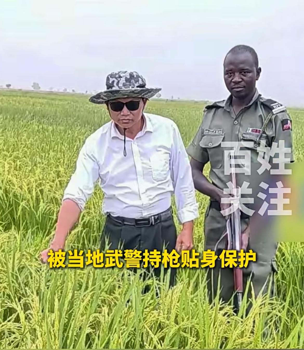 贵州大叔因太会种地，被当地武警贴身保护
，由于产量暴涨粮食价格下降，冲击了商人的