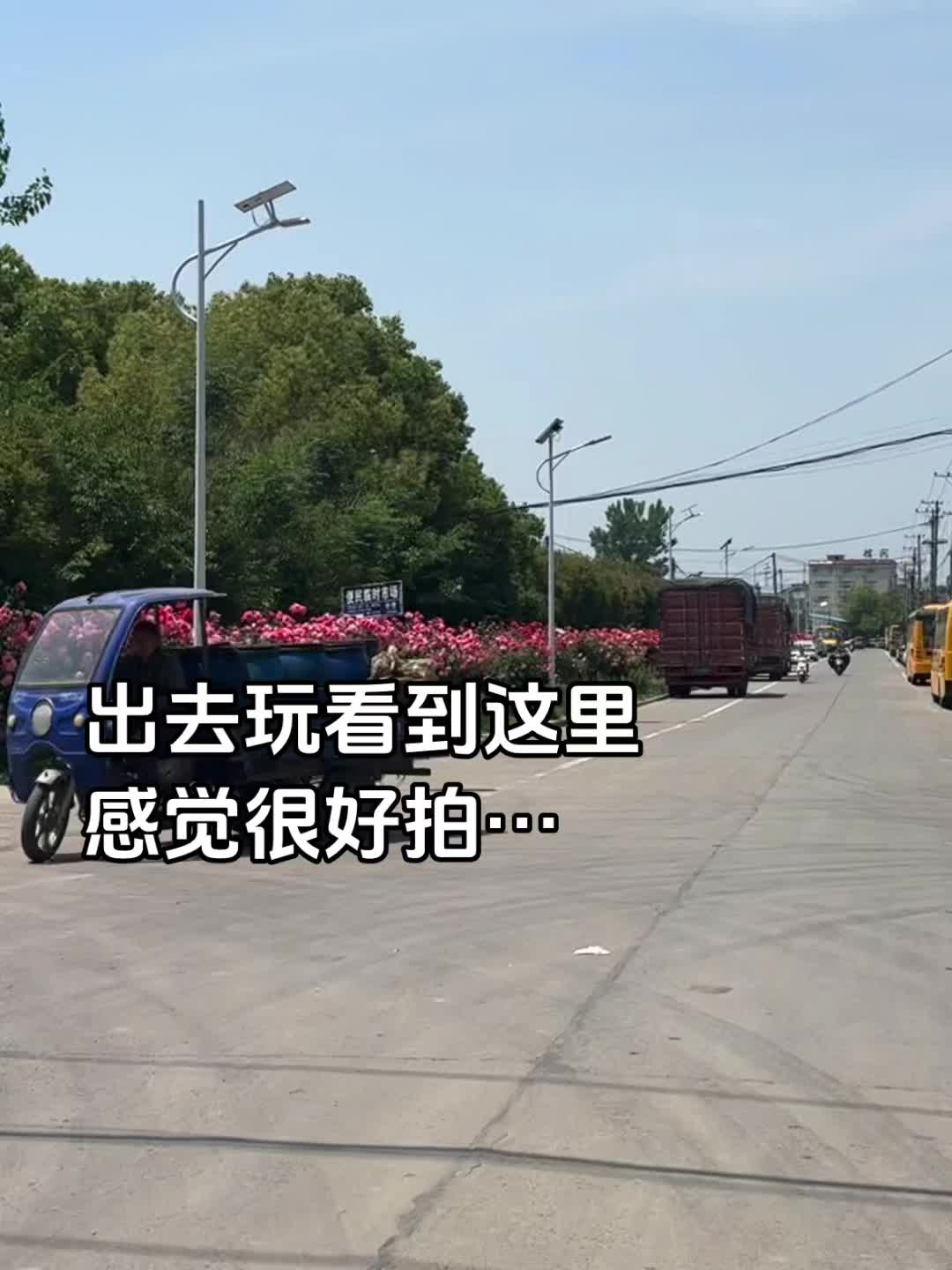 老妈对我的拍照技术很满意！