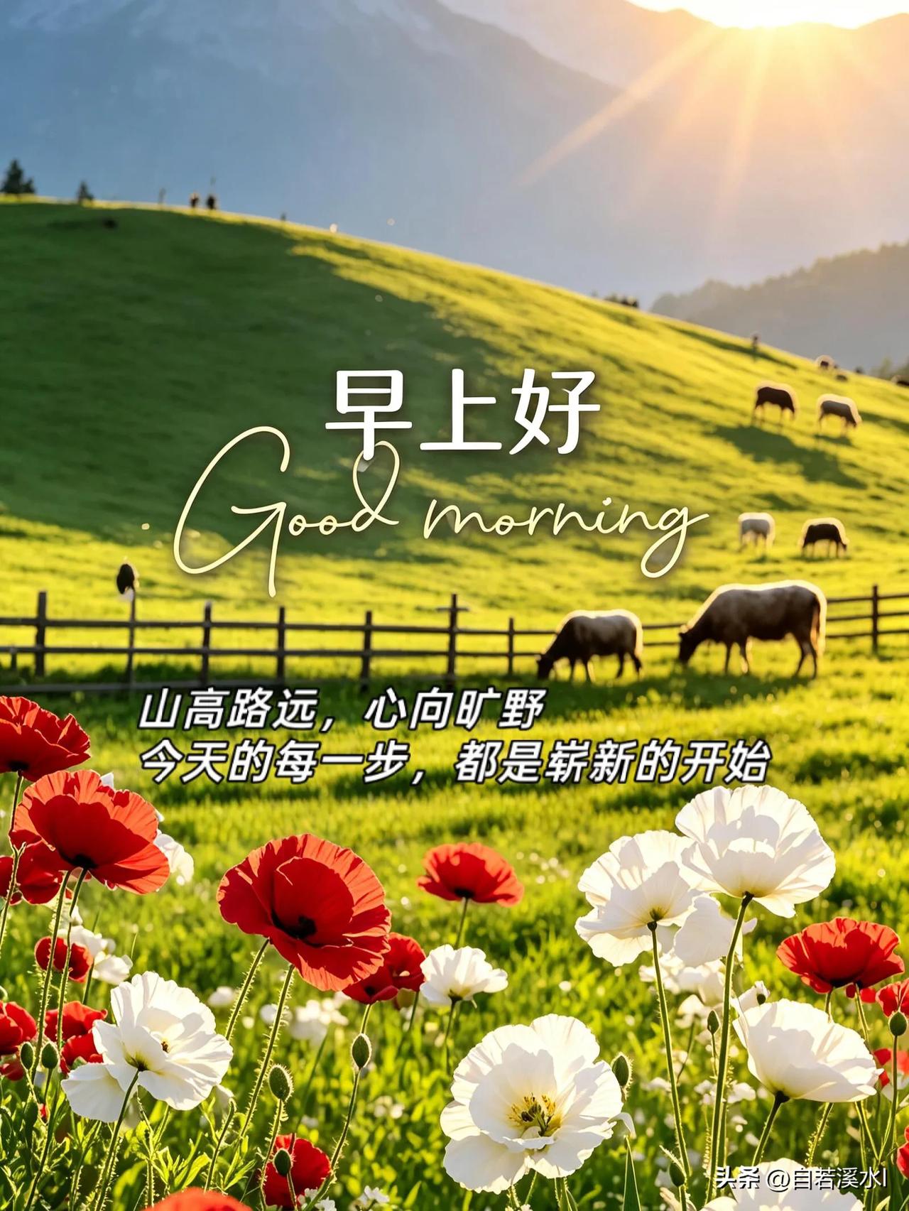 不畏前路辛苦，不负每一个清晨，认真努力，未来自有惊喜。