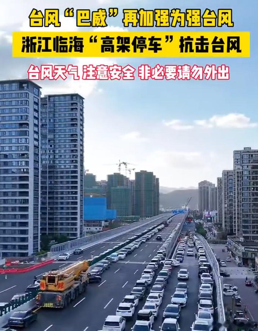 🌪️ 台风天高架变停车场，这波操作挺实在 台州车主把车停上高架避台风台风“巴威