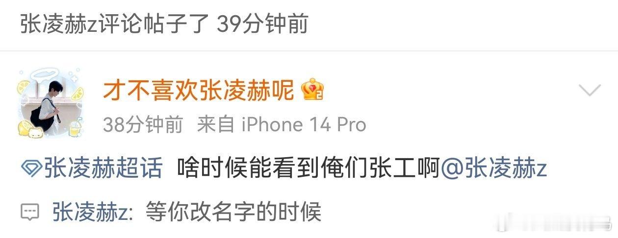 张凌赫就这样going我 