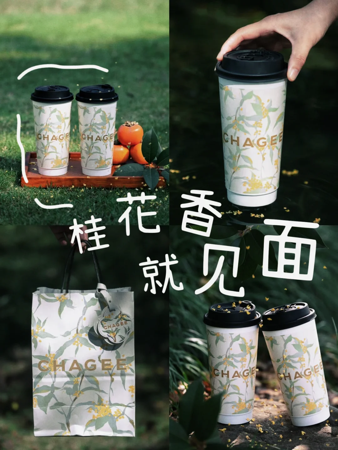 一键入秋🍂桂花香就见面