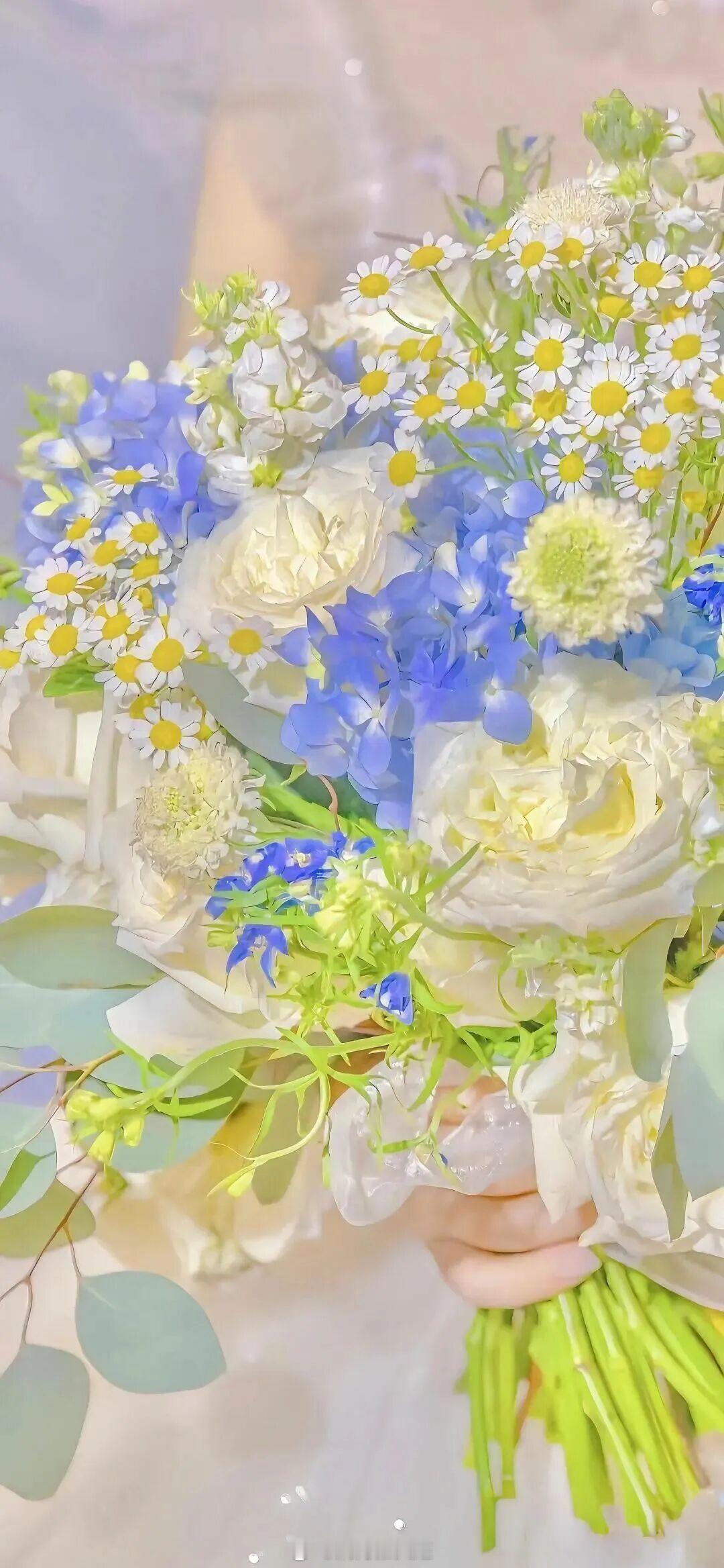 再好的花，也要应季才能开啊。——《残次品》晚安