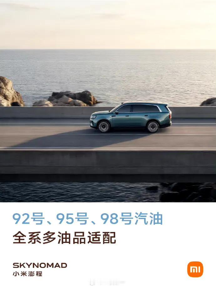 感谢小米汽车科普，不然我还真不知道我的车还可以加95、98号汽油[赞][赞][赞