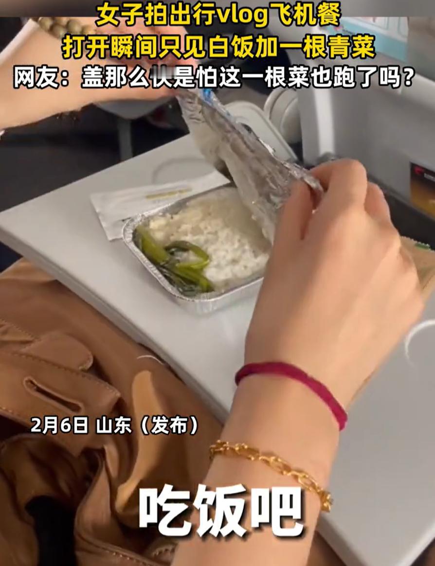 山东一女子坐飞机，本来想拍个vlog，结果拍不下去了，太寒碜了。
这事就发生在最