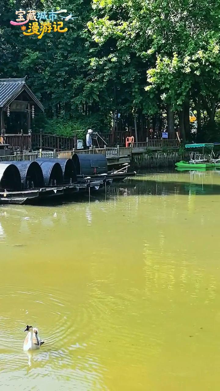 宝藏城市漫游记。
绿色养眼，洛阳隋唐城遗址植物园夏日休闲好去处。