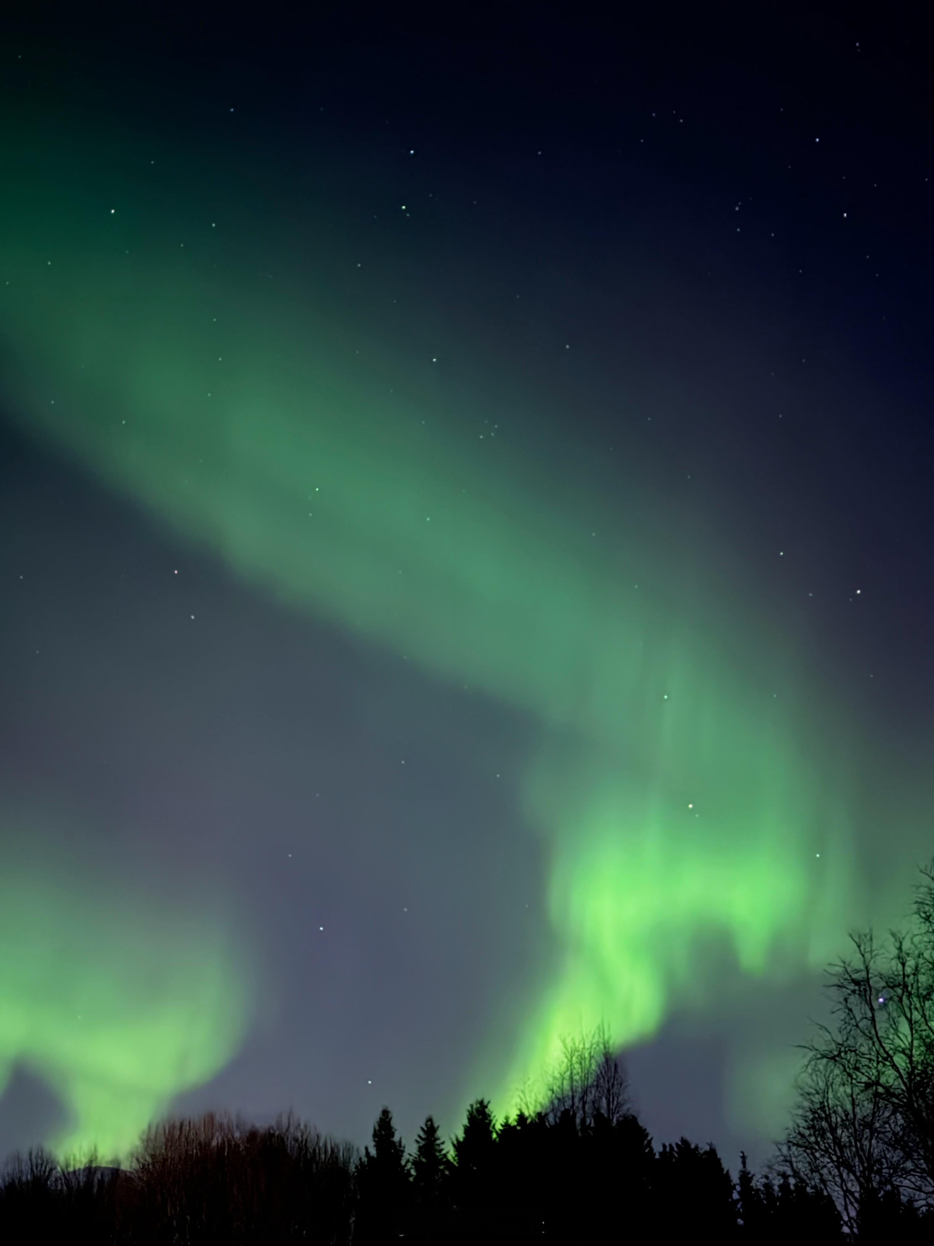 原来极光不用追，它真的会突然降临到你面前！！到纳尔维克中途休息，起初抬头看见了像