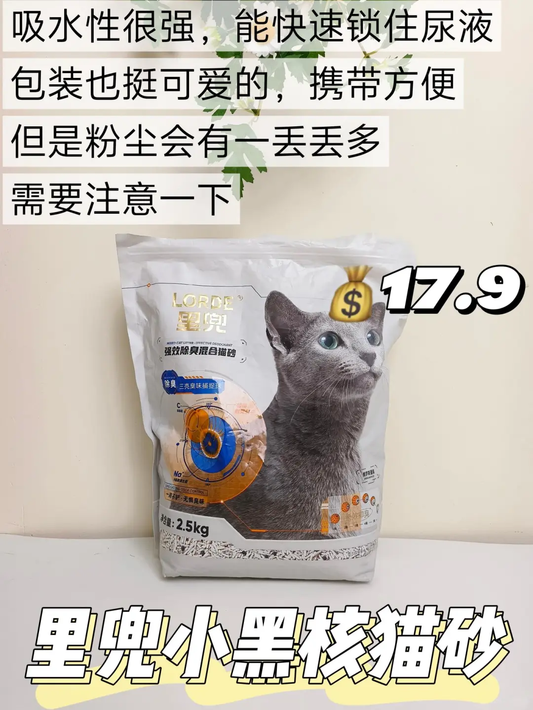 猫砂大比拼！谁才是真正的王者？