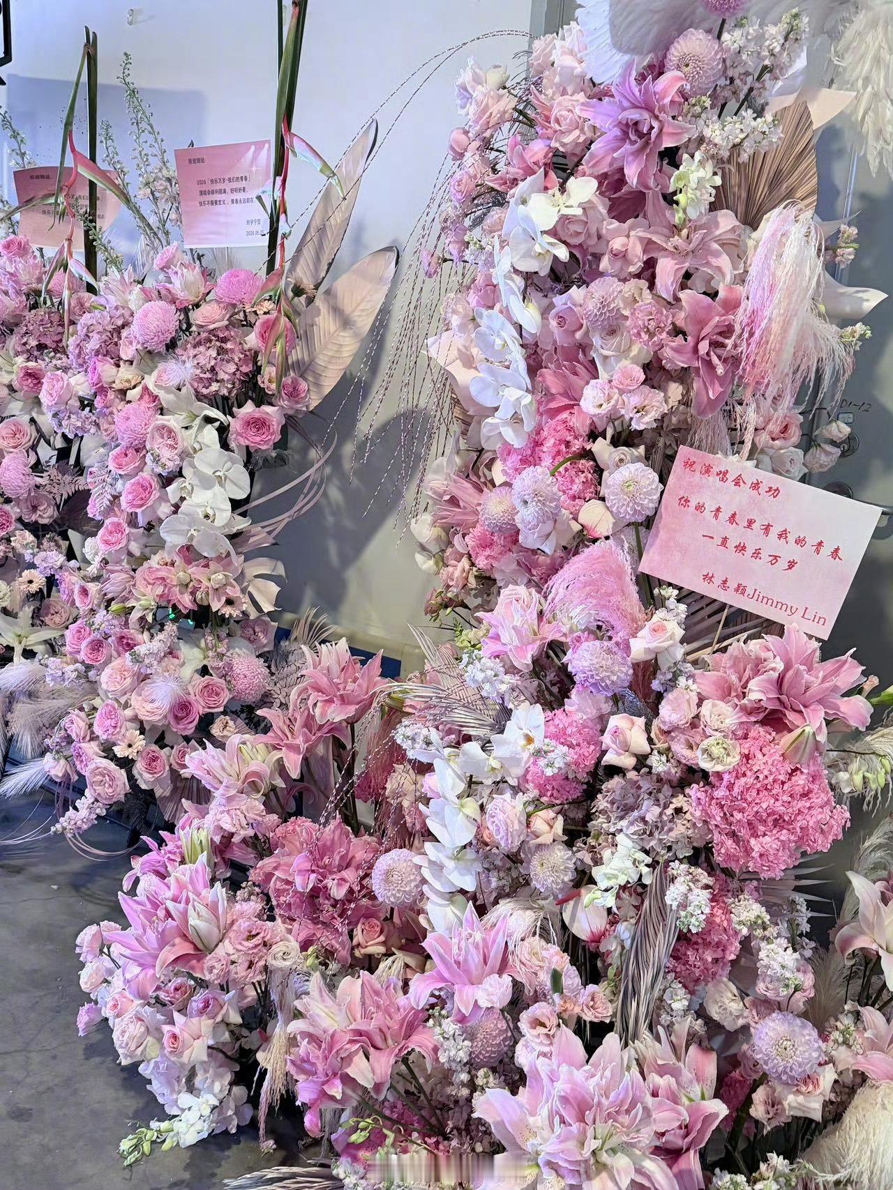 好多明星给谢娜演唱会送了花篮 好多明星给谢娜送花篮了！！！！我姐圈内人缘真的不是