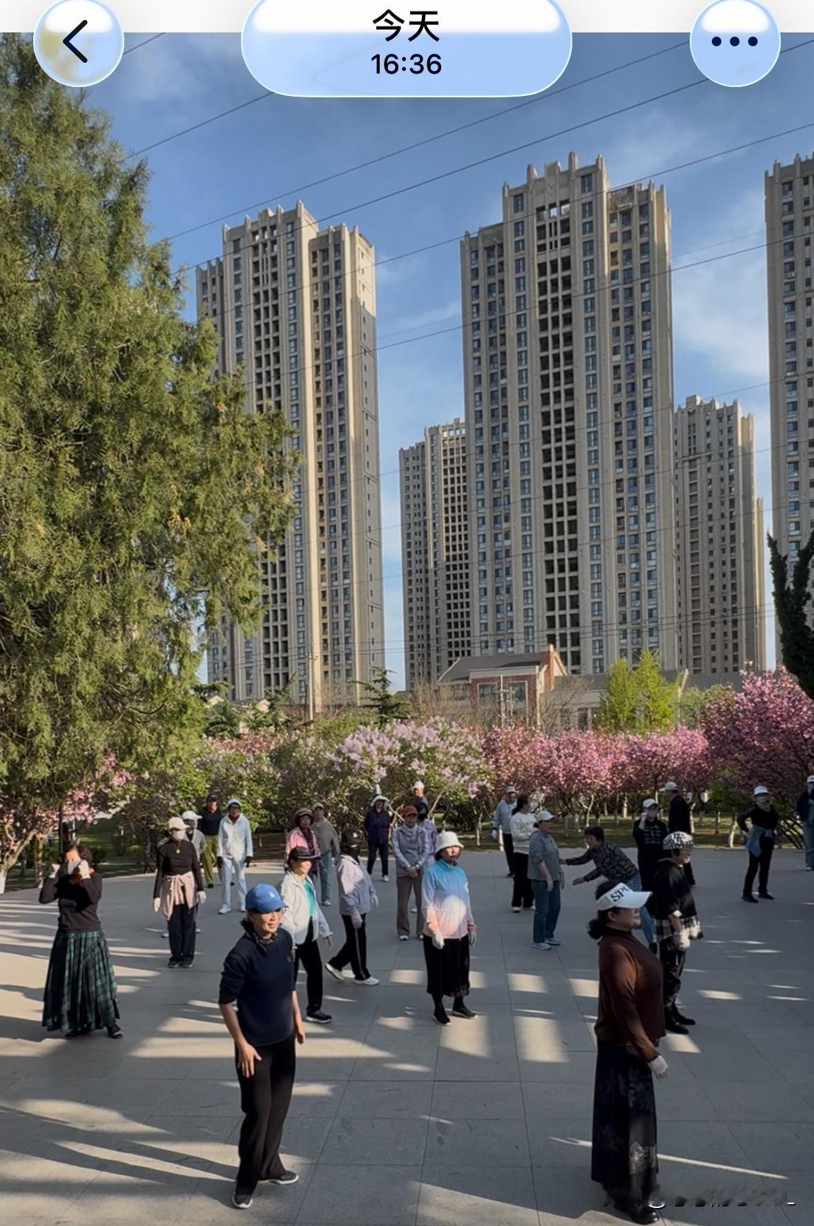 我是61岁的小老太太，退休十年了。

每天下午四点，我都会带着家里的两只小狗去公