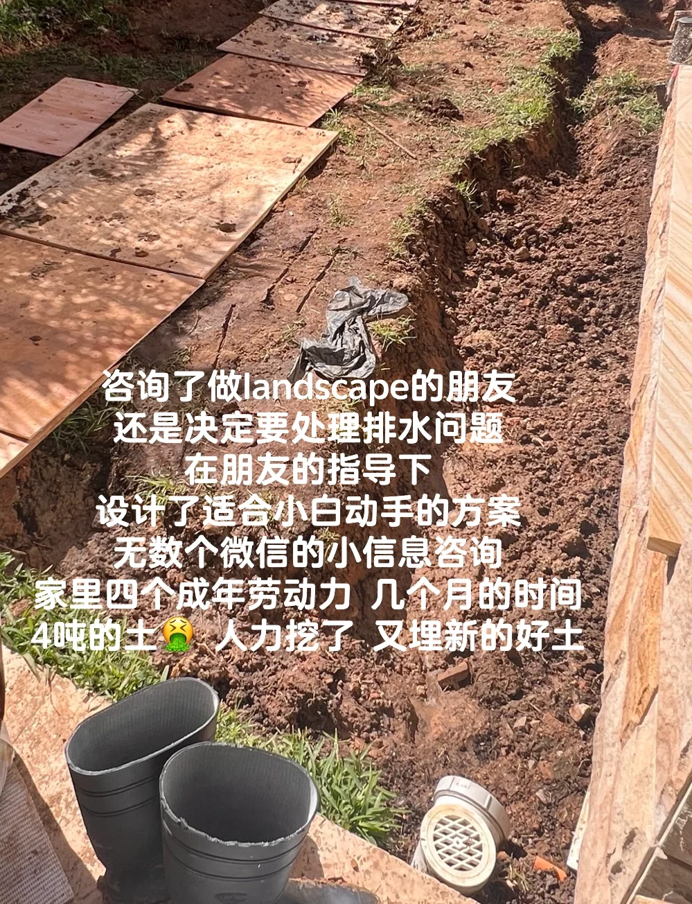 这周 跑到悉尼CBD溜达去啦