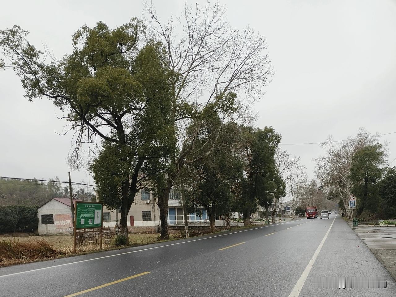 上午去社区药店买点常备药，没想到被两位陌生大姐议论。

我八点半到取药窗口，前面