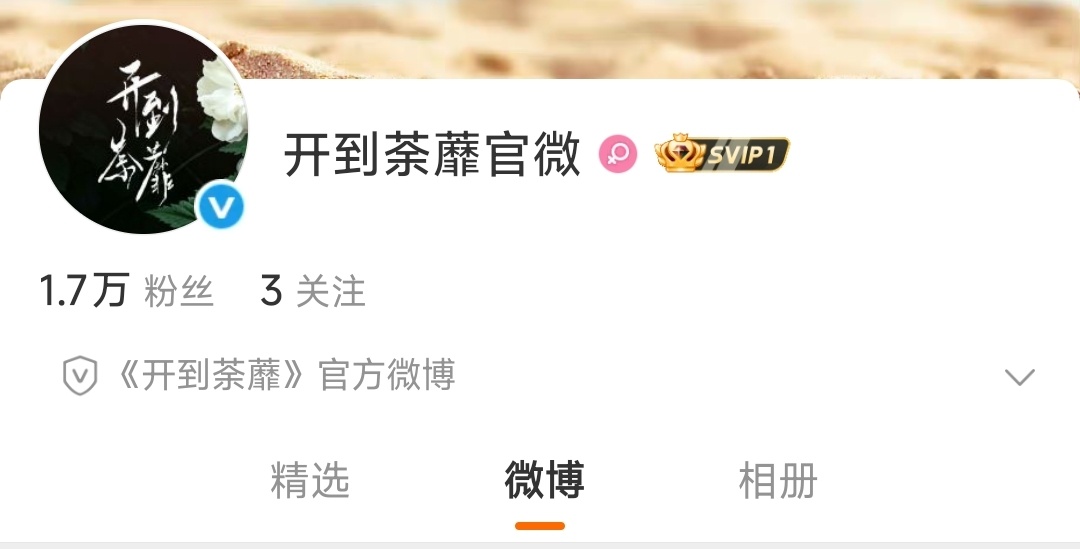 S+精品都市剧《开到荼蘼》告别古装叶璃迎接亦舒笔下王韵娜白鹿独挑大梁演绎亦舒经典