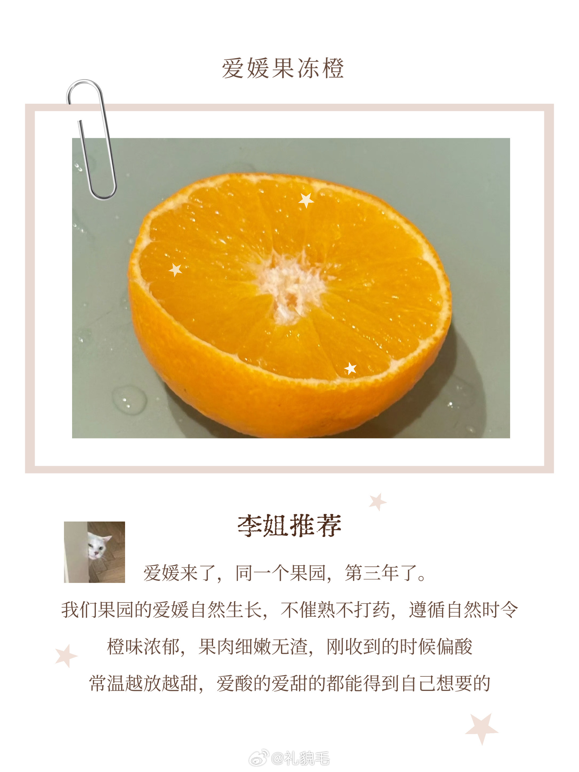 团里的好东西 近期上❤️最近又上了不少好东西，评论抽三位送咱福建搞出的新品种红宝