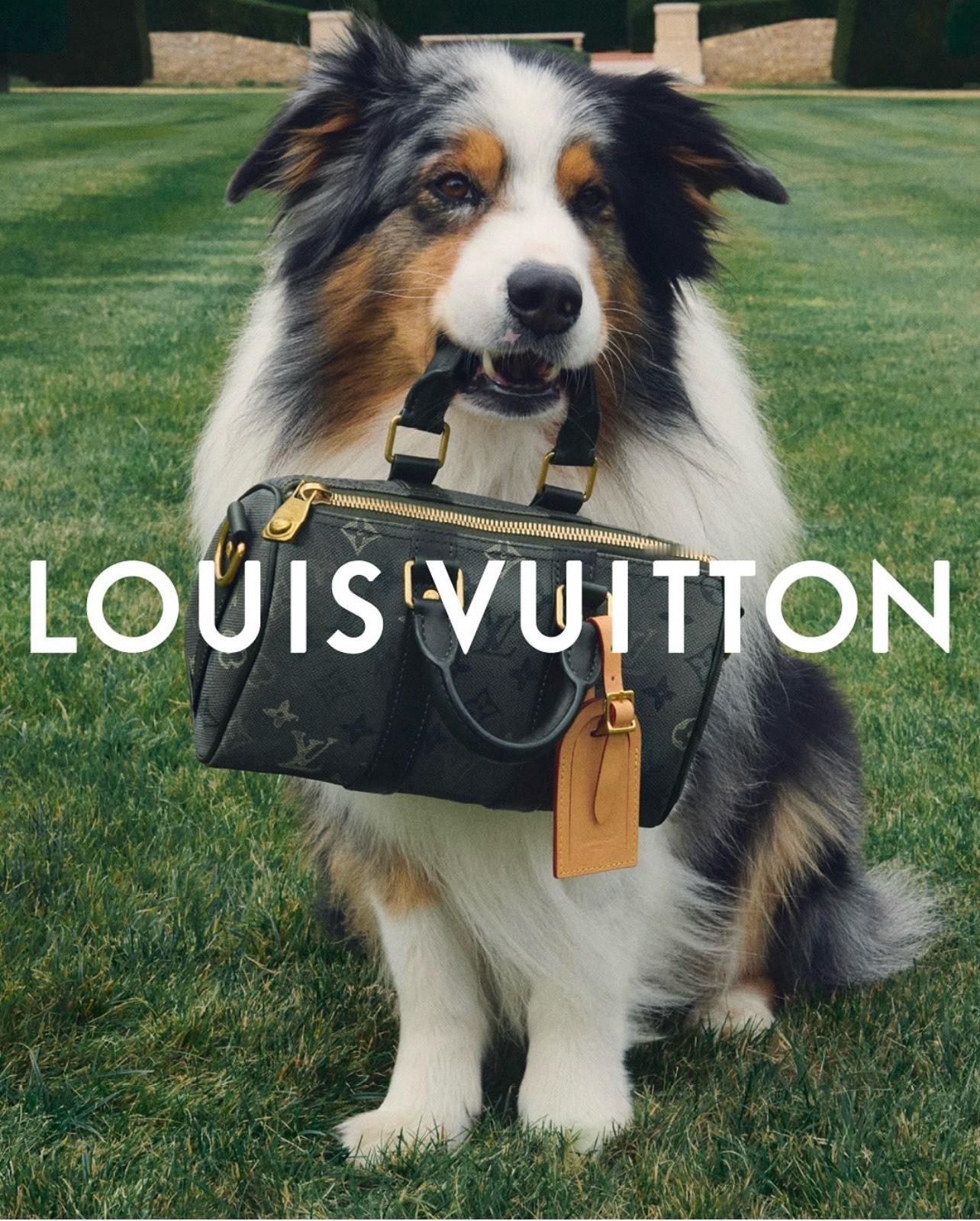 Louis Vuitton's Men's SS26 pre-collectio