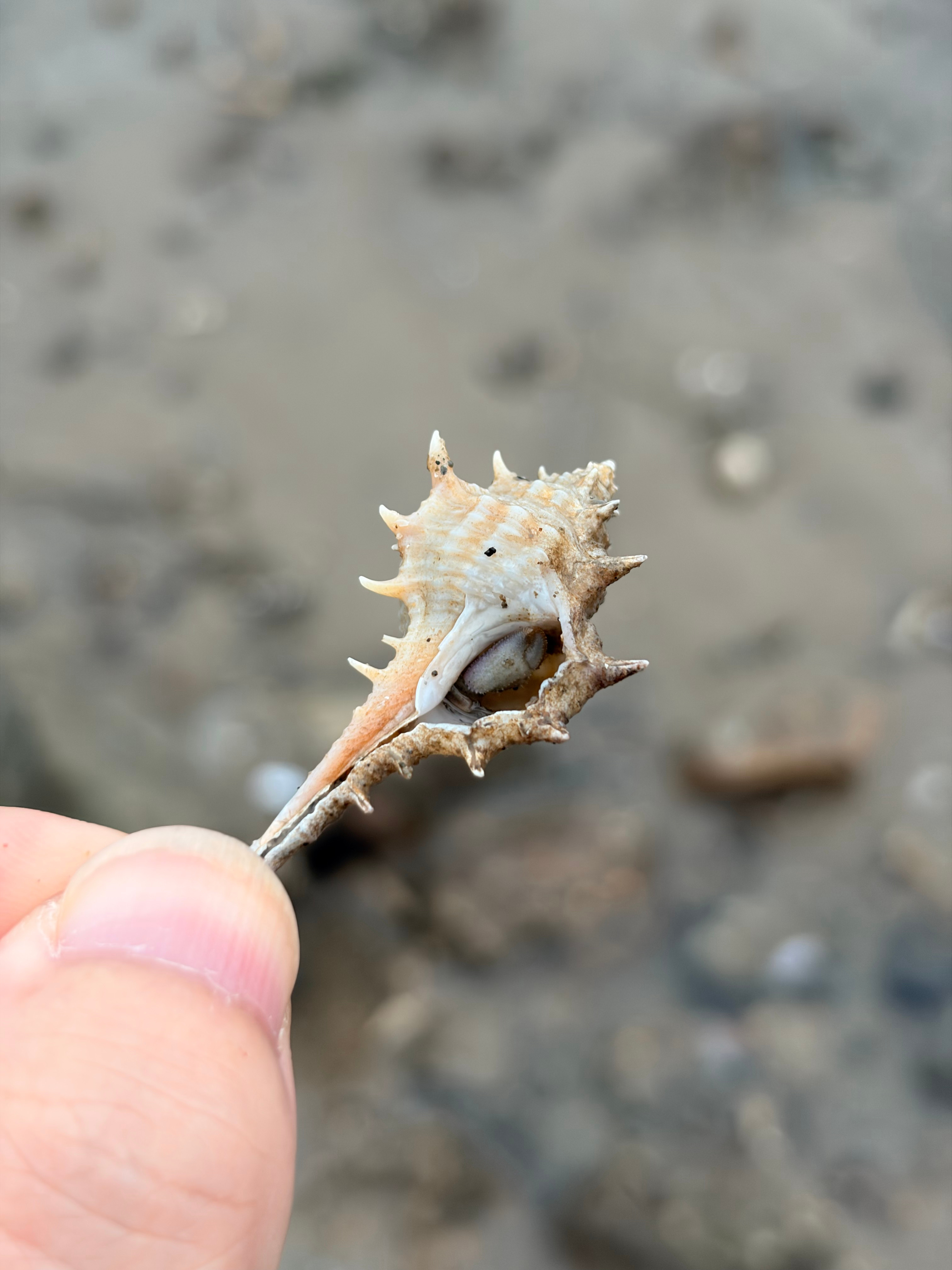 就今年这新车发布的频率来看，你有什么理由不相信年底买车更便宜、技术更牛逼呢所以，