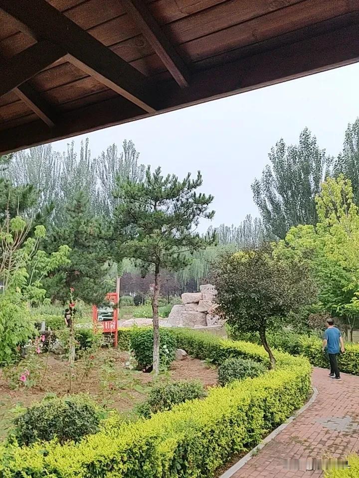 有人说拿她赚流量蹭热度，
都是在黑她，
事实是这样吗？
从她出道开始，
她的一言