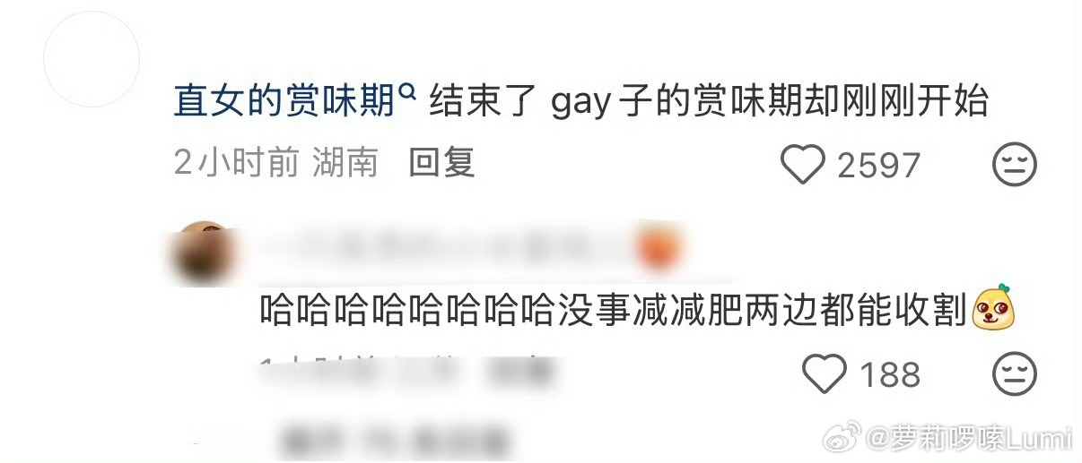 韩网热议车银优近照笑死了侄女赏味期结束了，gay赏味期开始了 