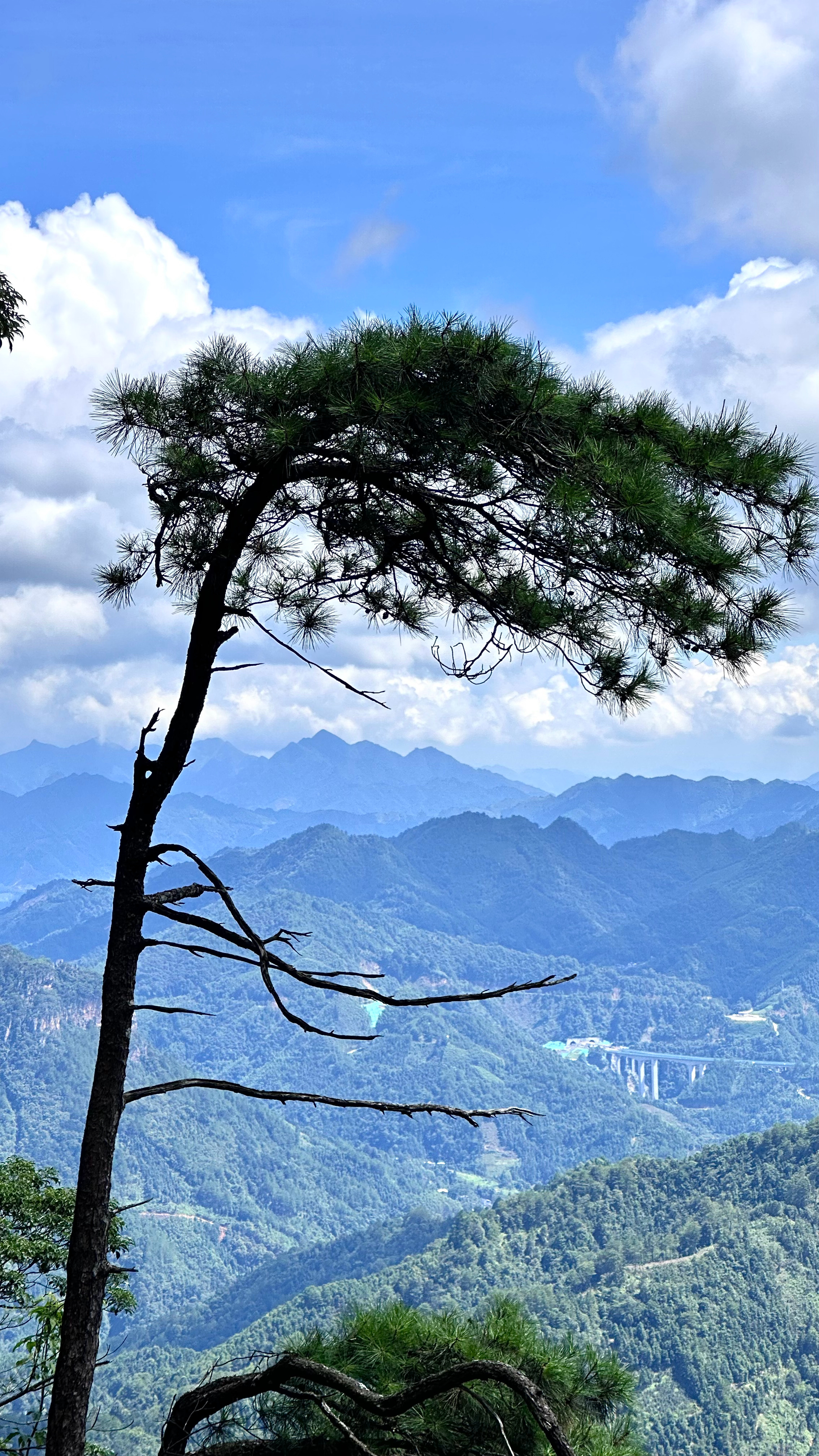 山上的空气果然好点 