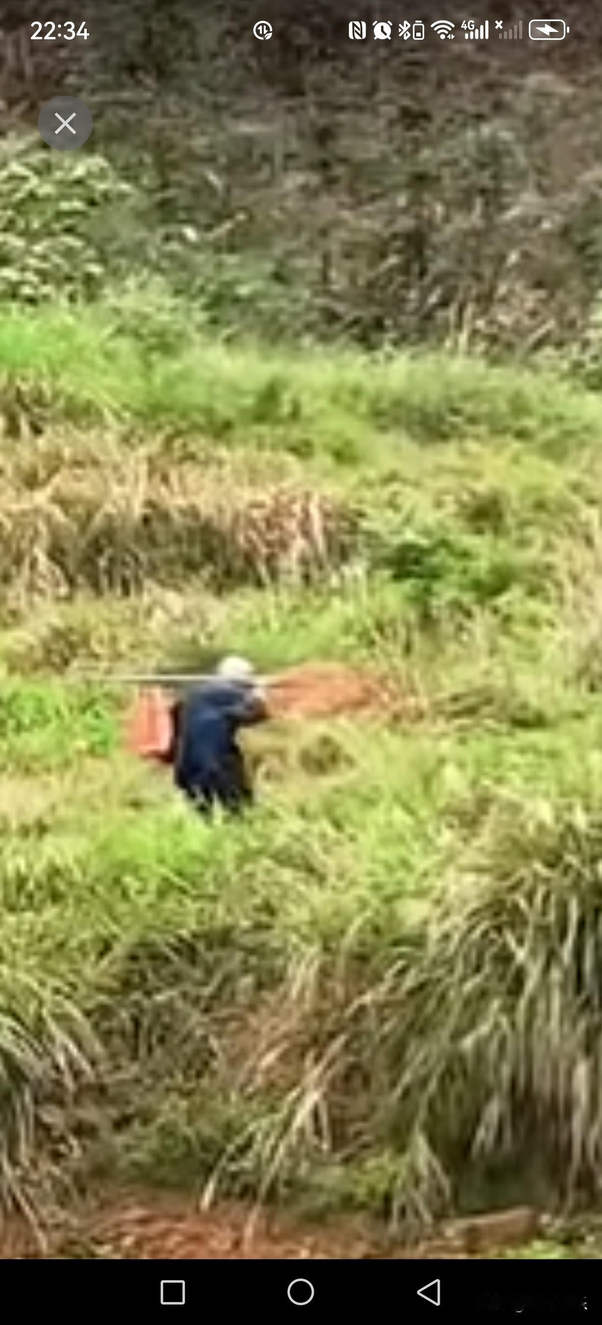 广西人祭祖拜山到底有多拼?清明节，90岁老人爬山祭祖。大家不懂广西的清明节有多拼