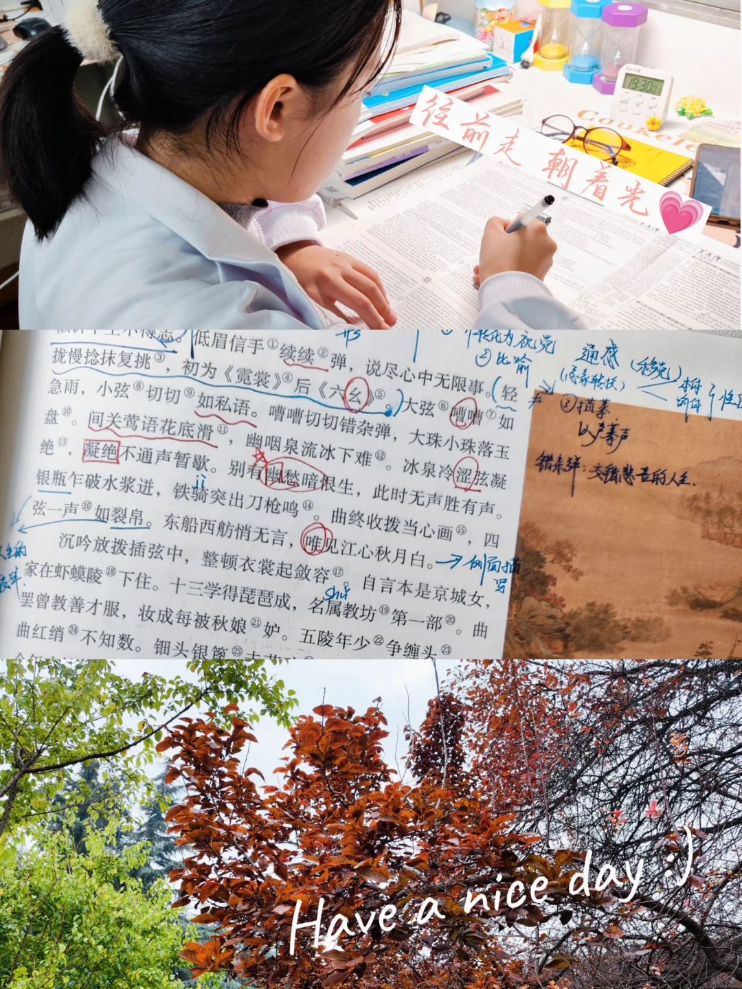 进入重点高中后，回头看小学阶段的学习规划