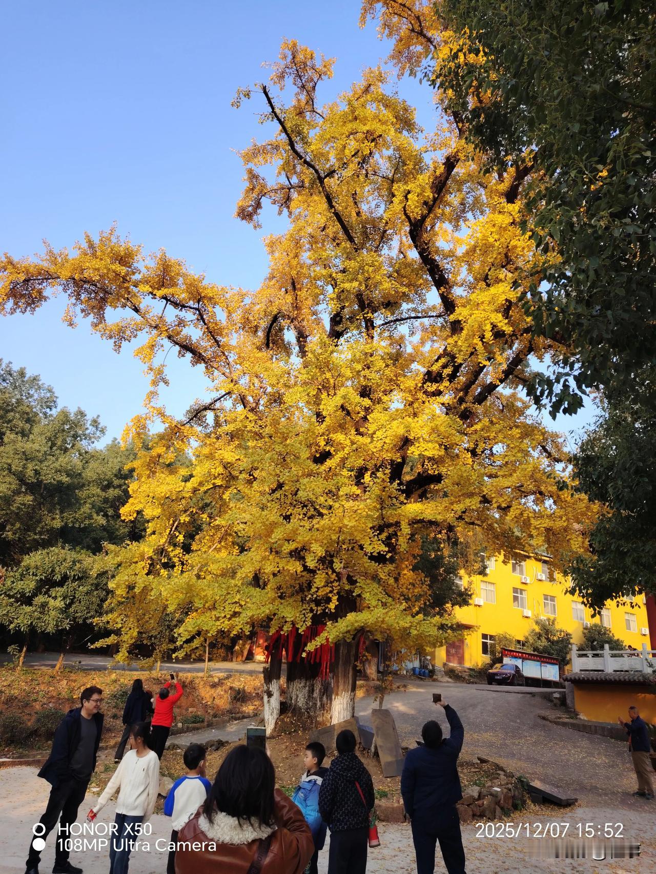 新的一年想多陪陪谁新的一年里想多陪陪自己的爱人