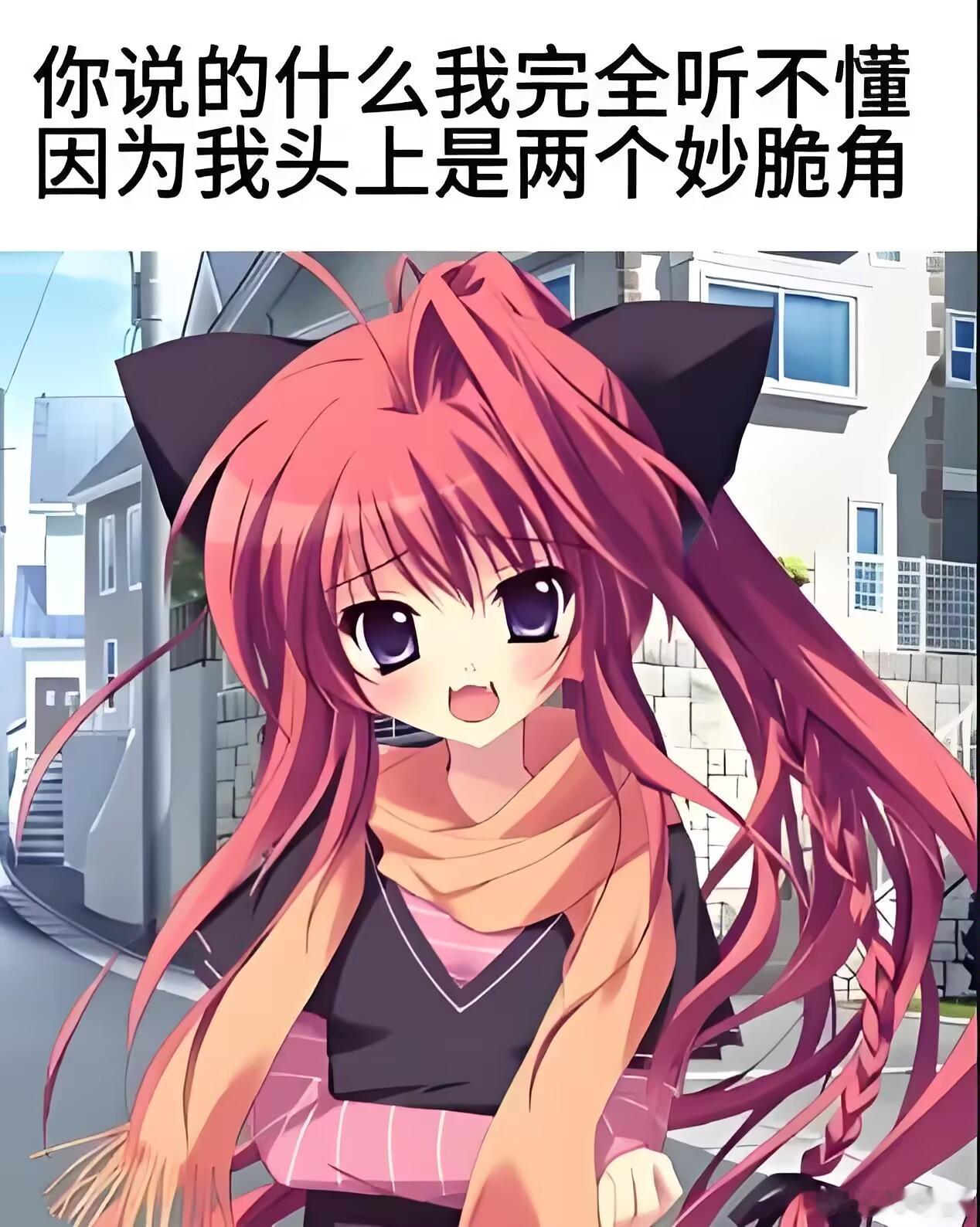 昨儿哈萨克族小姐姐来找媳妇吃饭和闲聊，期间因为和家人语音，我人生中第一次近距离听