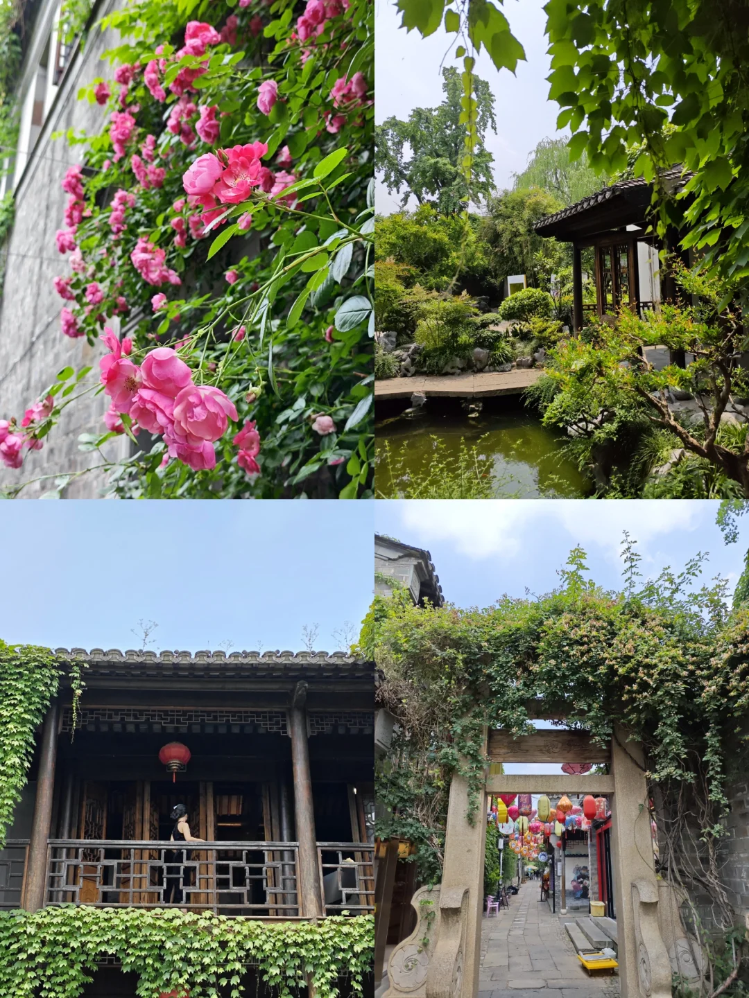 【南京访古】漫步在初夏的老门东
