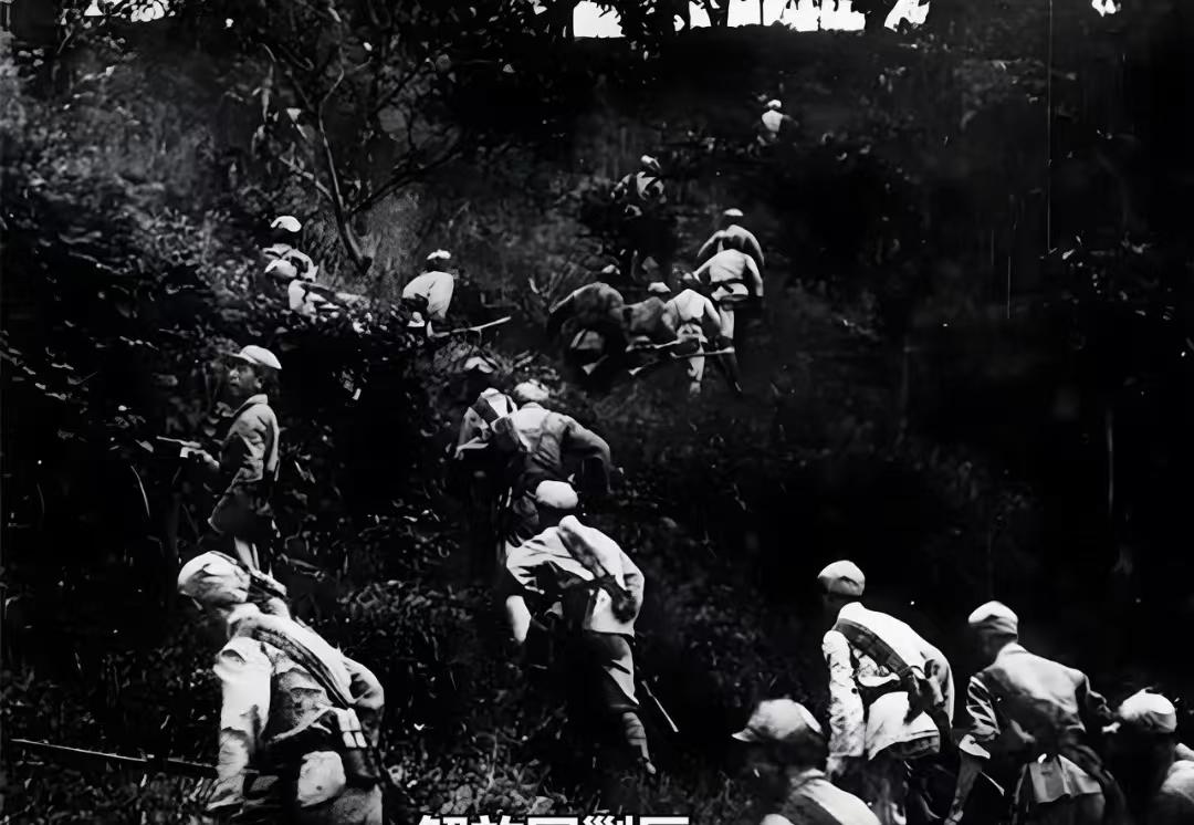 最后的土匪，国家管到石头缝里了，他怎么活到1965年的？

1965年3月，湖南